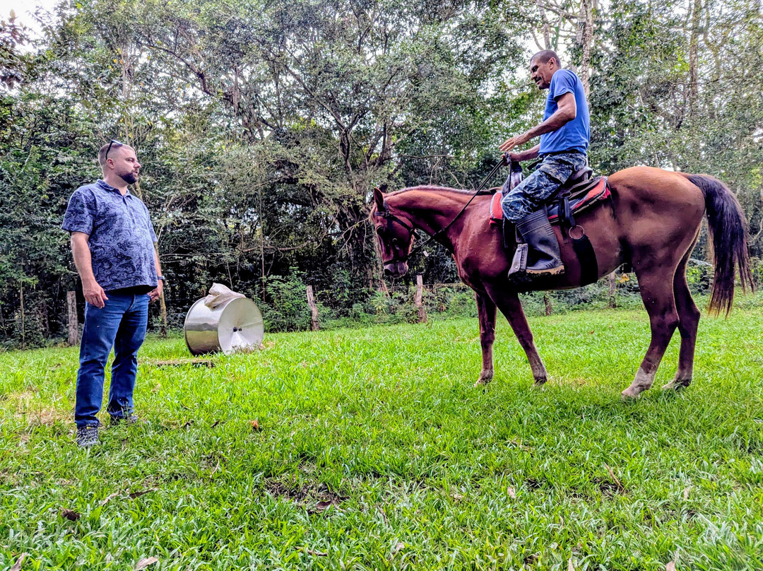 Franklin's Horseback Riding-波魁特必去景点