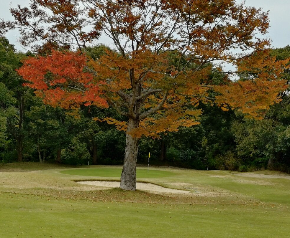 Tojo no mori Country Club Tojo Course Okura Course-加东市必去景点