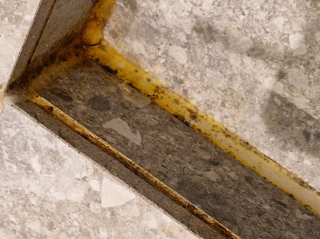 Van der Valk Hotel Cuijk - Nijmegen主图