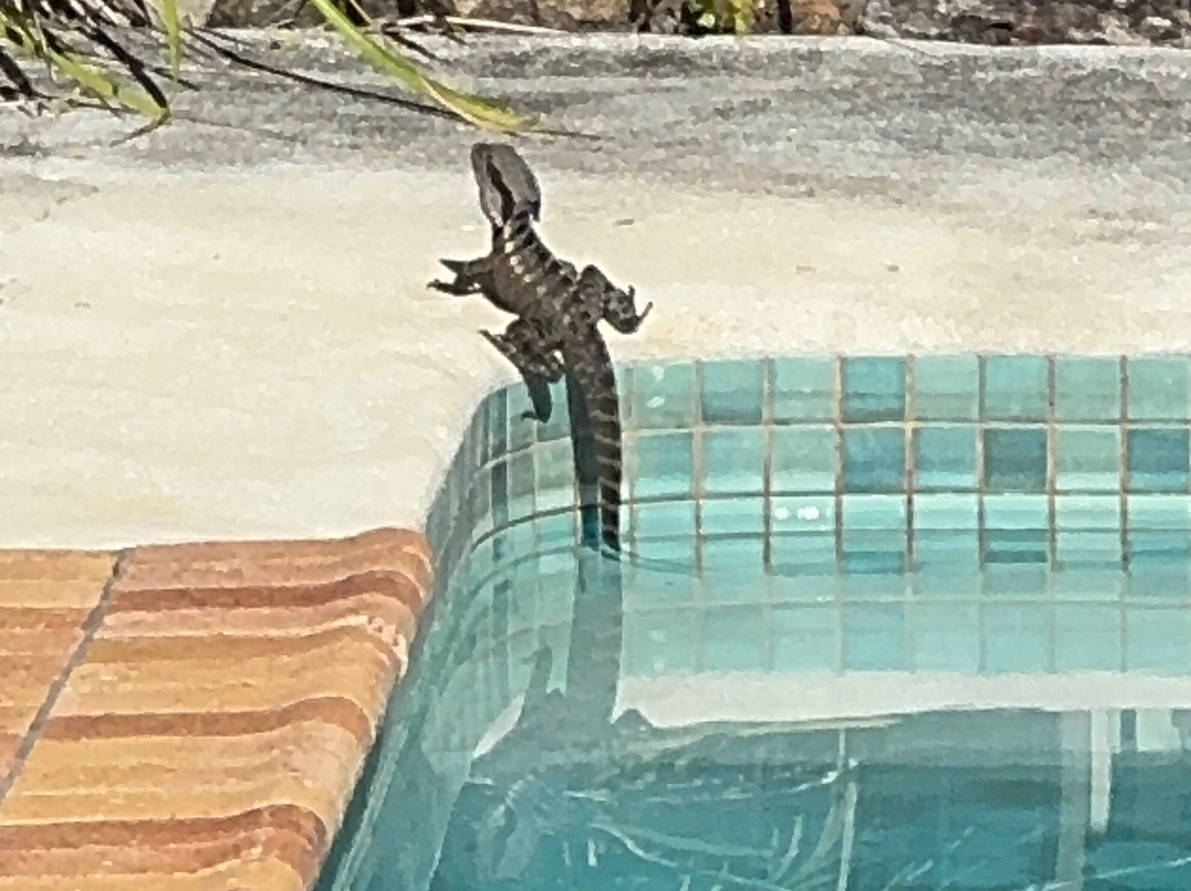 巴利纳品质酒店主图