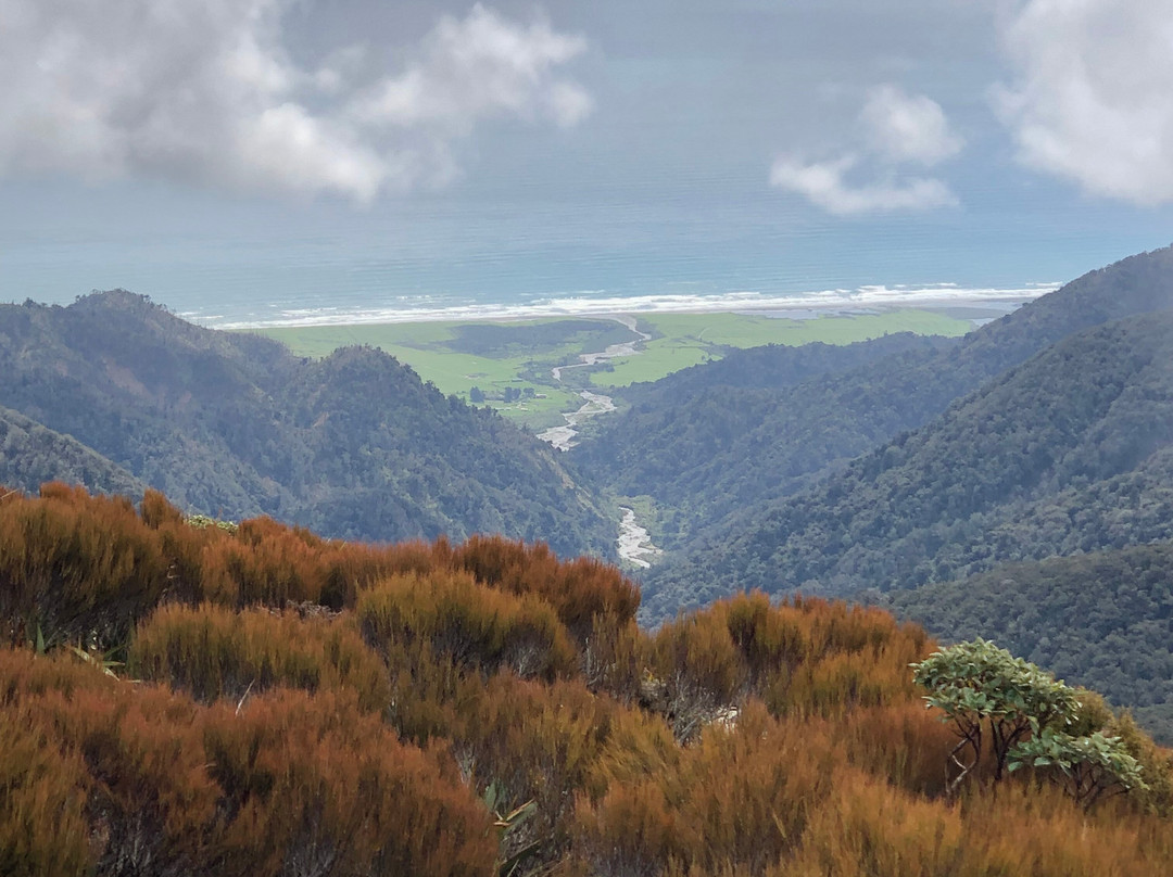 Paparoa Guided Walks-普纳凯基必去景点