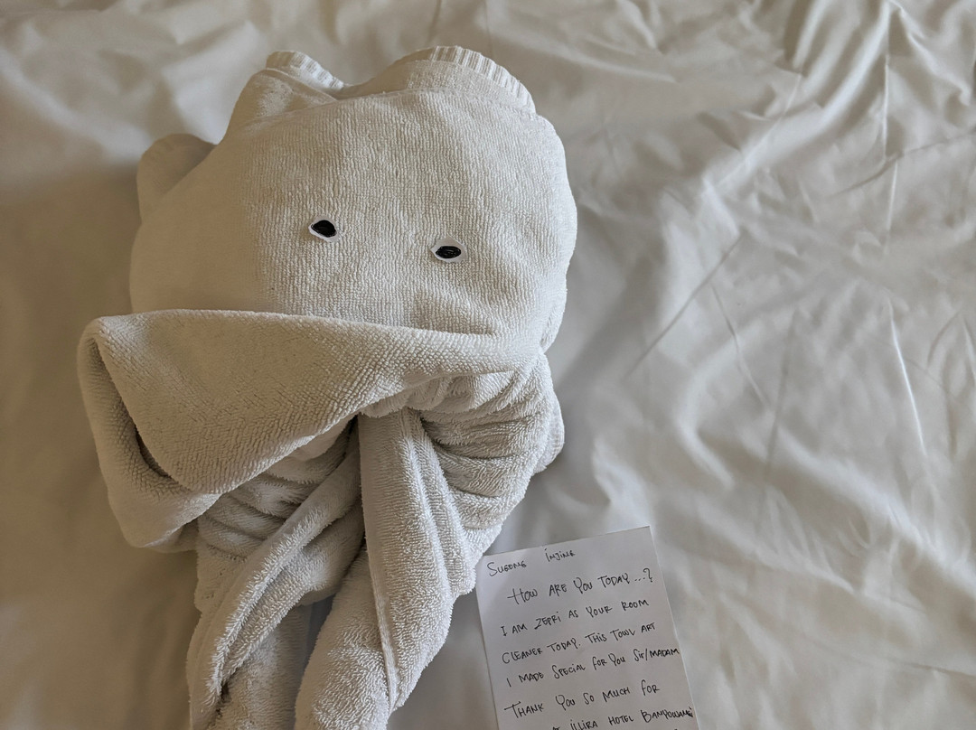 ILLIRA Hotel Banyuwangi主图