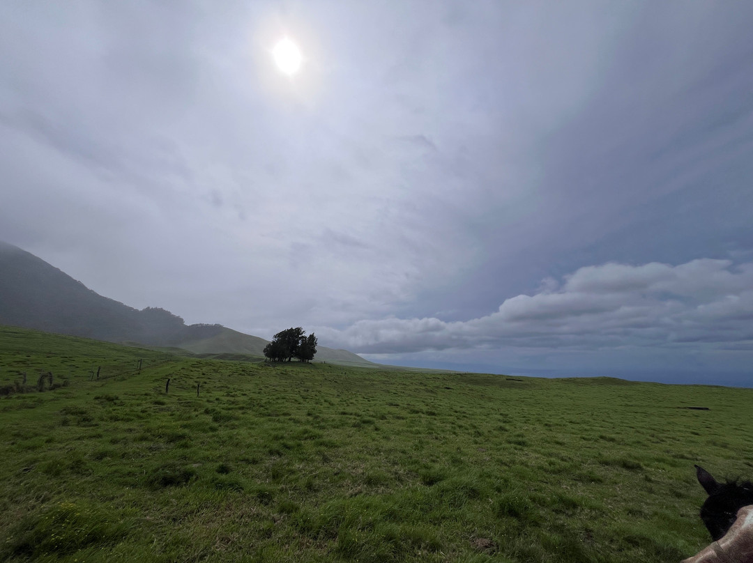 Na'alapa Stables - Kahua Ranch-卡慕也拉必去景点