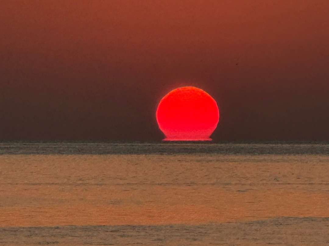 Aquanauts Diving Center-Al Aqah必去景点