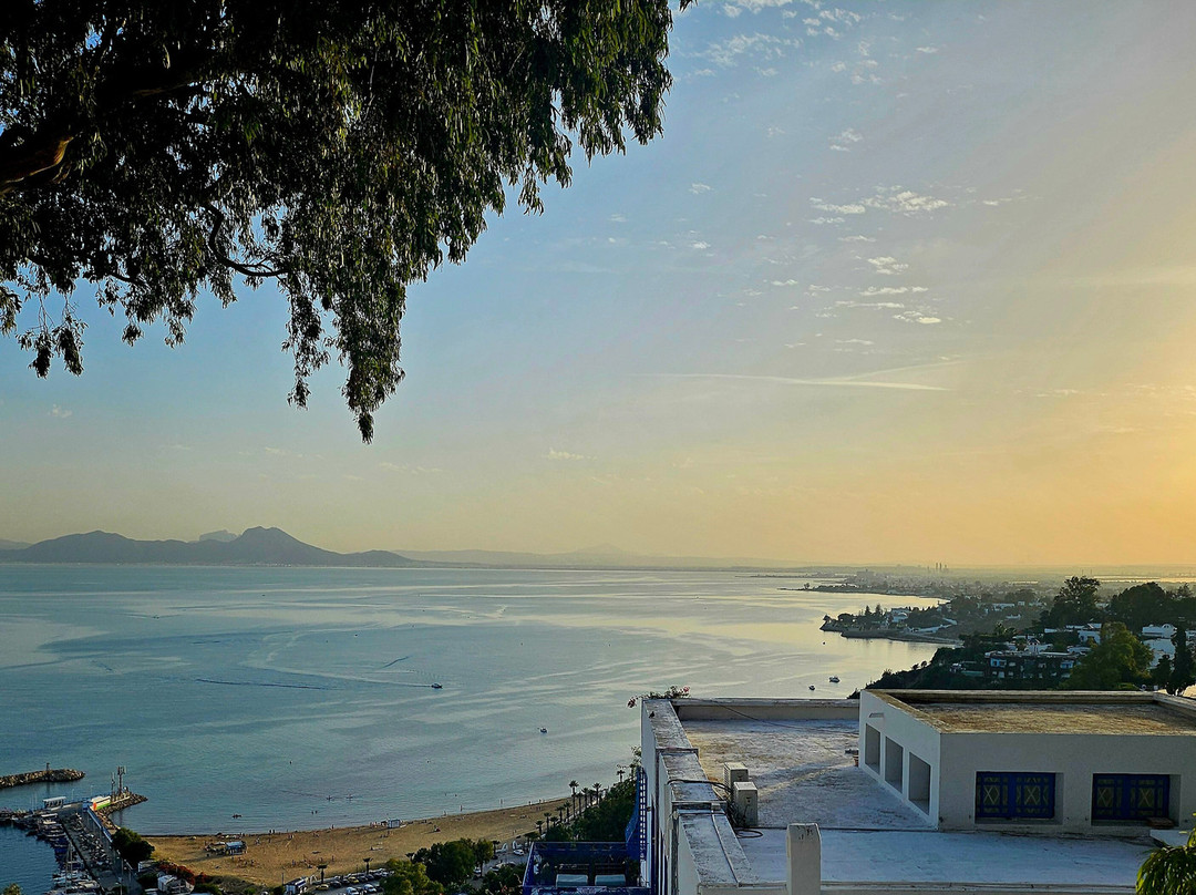 Sidi Bou Said Village-蓝白小镇必去景点