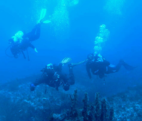 Cipreia Dive Club-塞新布拉必去景点