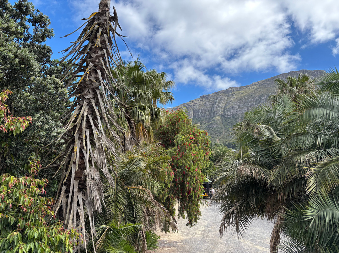 World of Birds-开普敦中心区必去景点