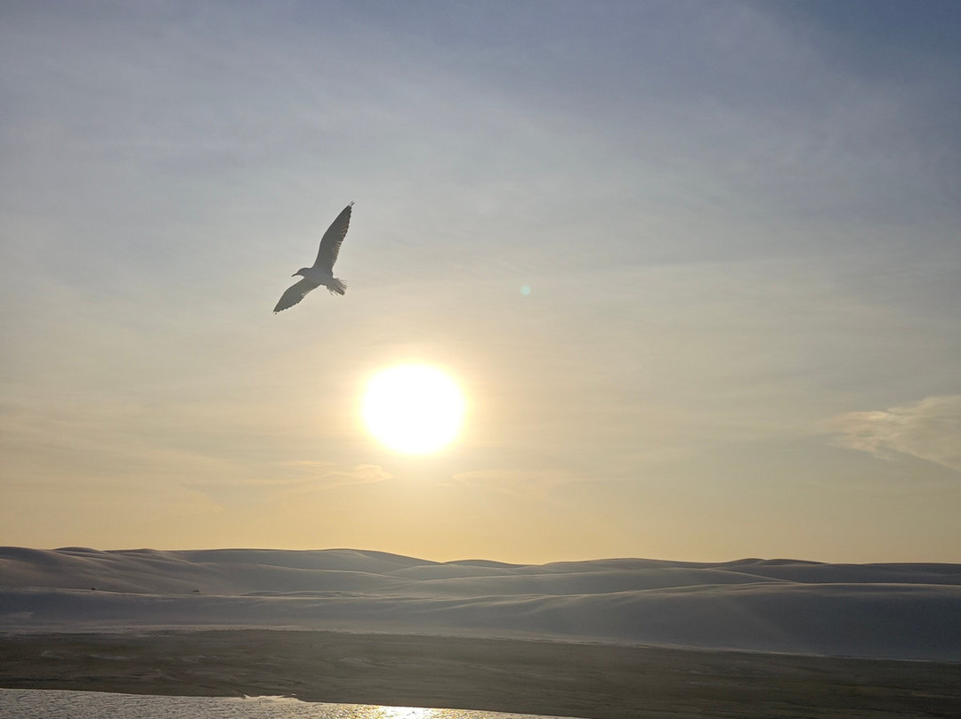 G.i Conect Viagens e Turismo-巴雷里尼亚斯必去景点