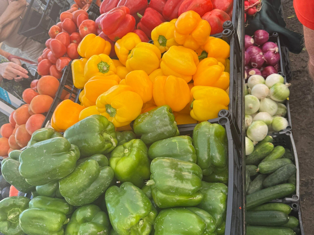 Riviera Farmers Market-新瓦雅塔必去景点