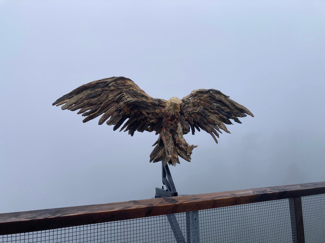 Malahat Skywalk-Malahat必去景点