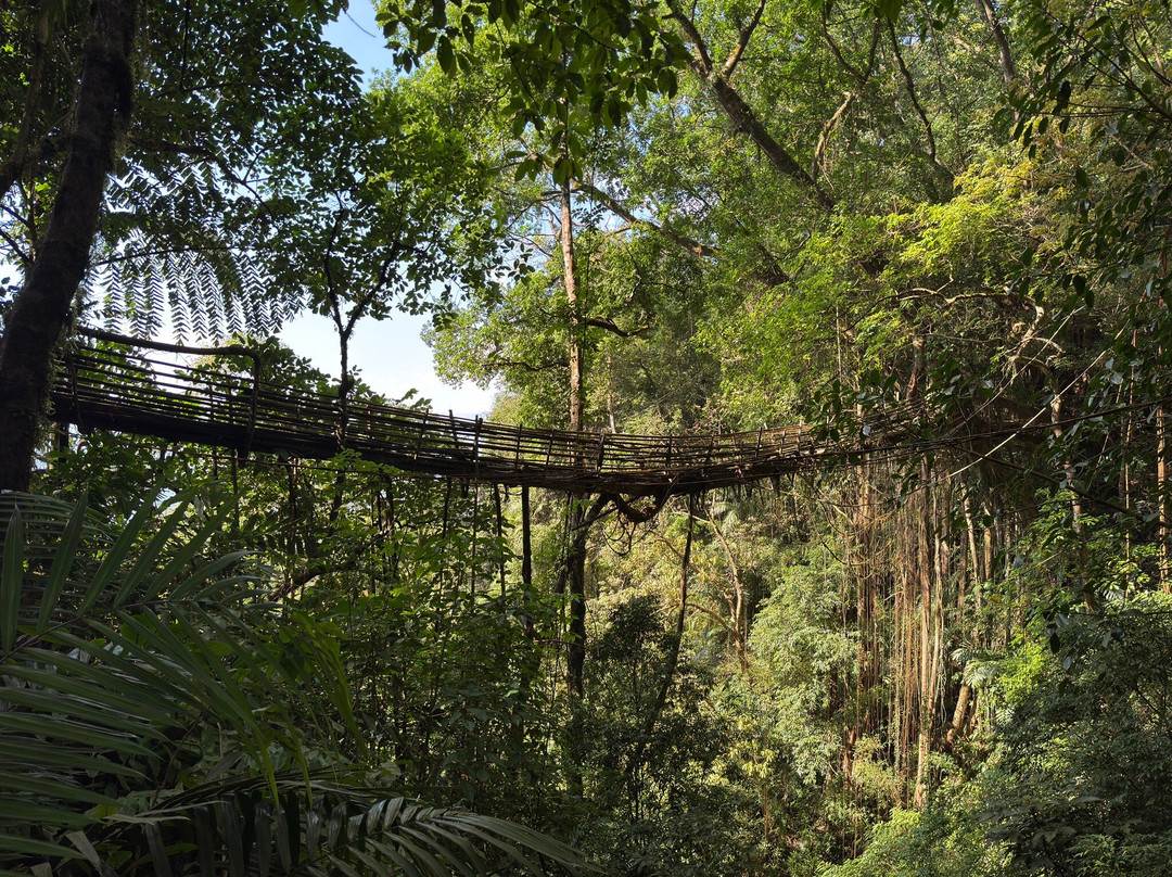 Travel With The Buddies-Mawphlang必去景点