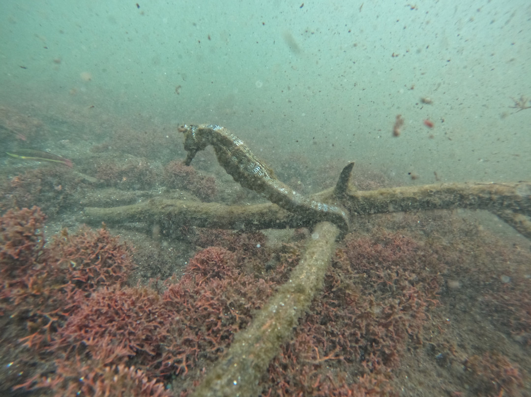Galapagos by Local Guides-圣克鲁斯必去景点