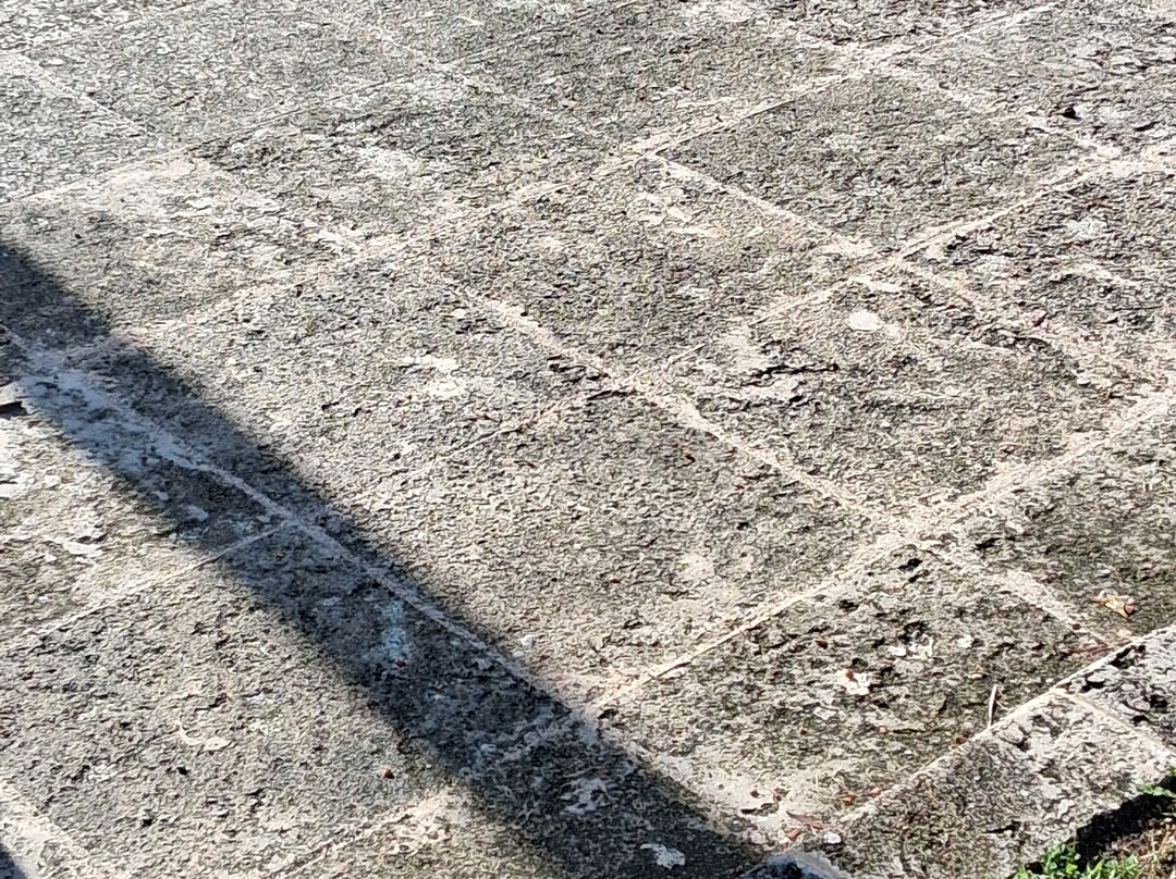 Plaza Pesquero-Rafael Freyre必去景点