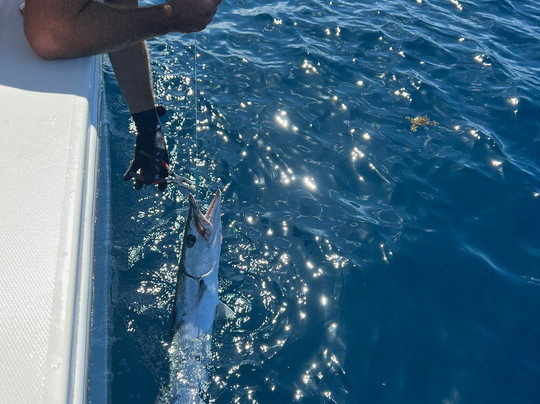 Simply Caught Charters-吕康必去景点