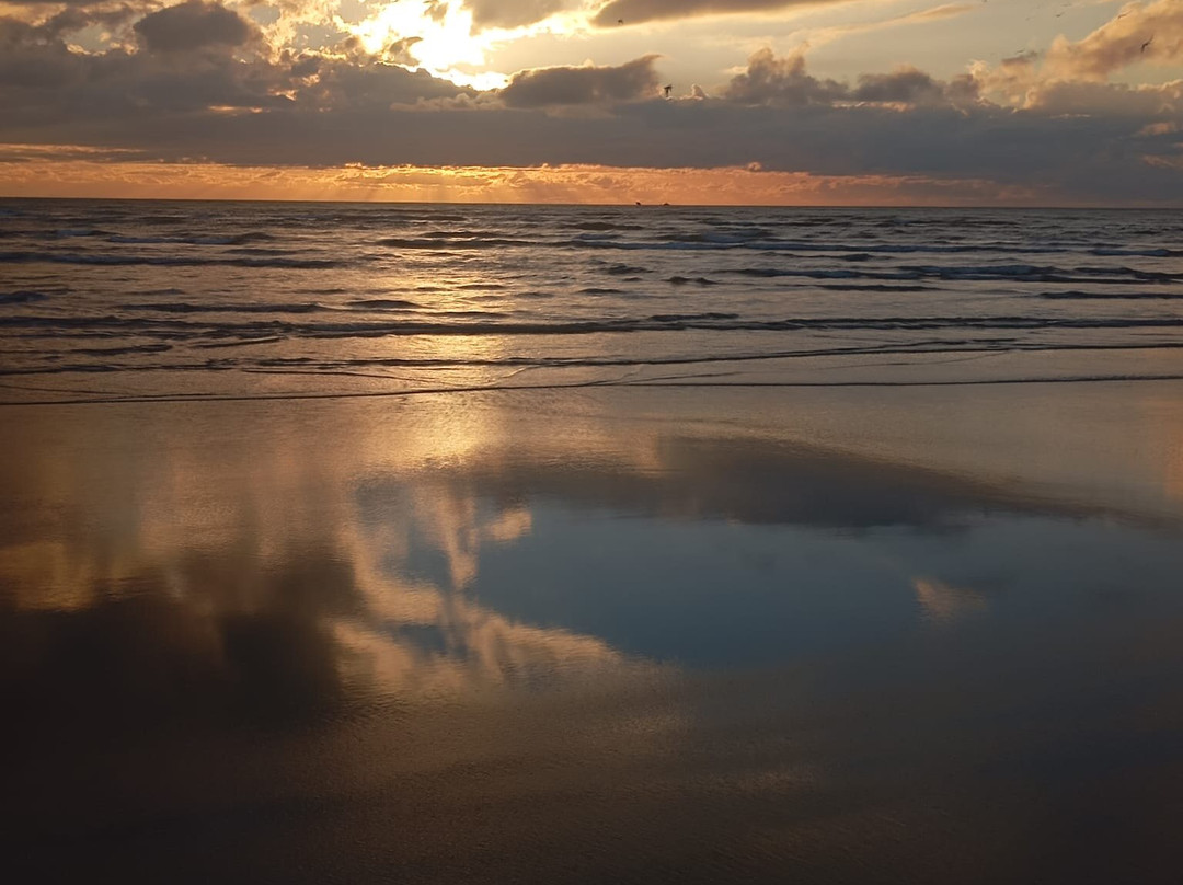 Donana Visitas-El Rocio必去景点