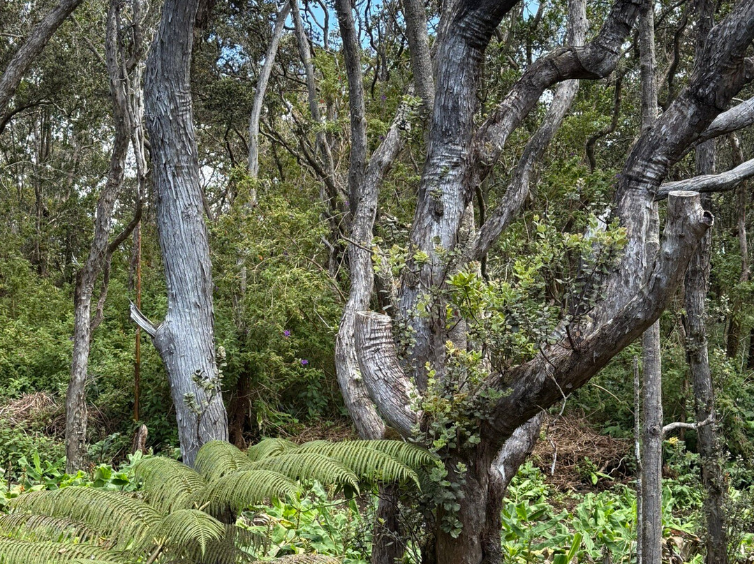 火山村熔岩旅馆主图