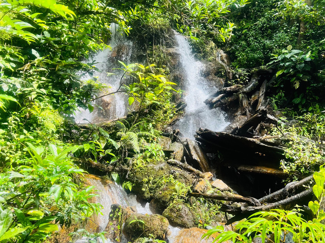 NexusTours-圣何塞必去景点