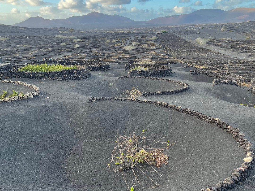 Wine Tours Lanzarote-卡门港必去景点
