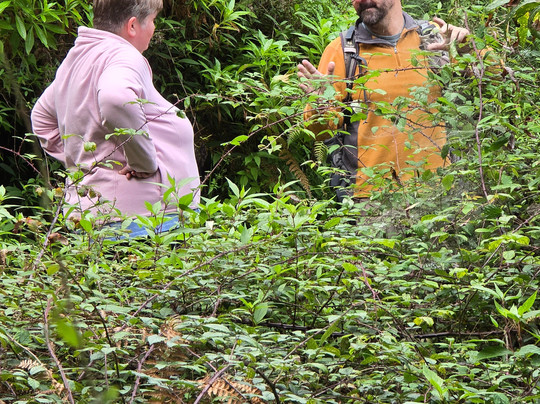 Hiking Island-马德拉群岛必去景点