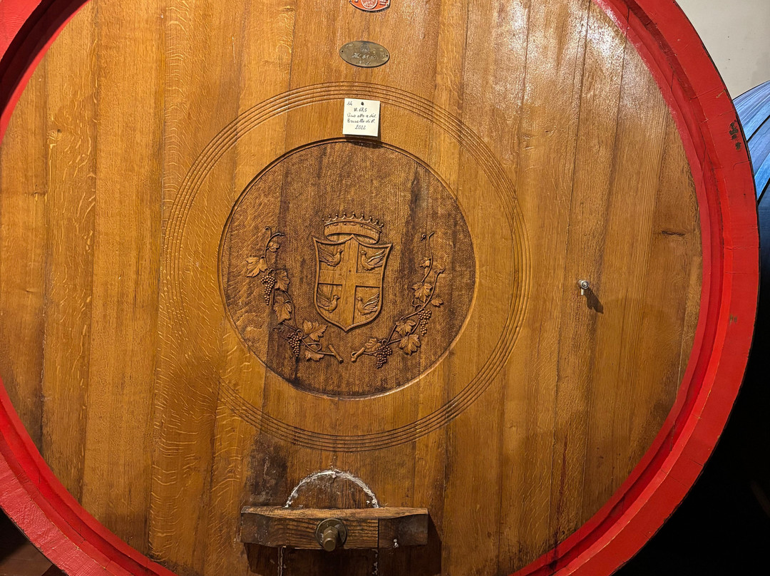 Fattoria dei Barbi-蒙塔尔奇诺必去景点