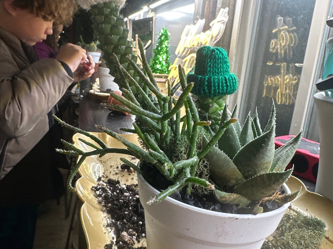 Classy Cactus Farm-默弗里斯伯勒必去景点