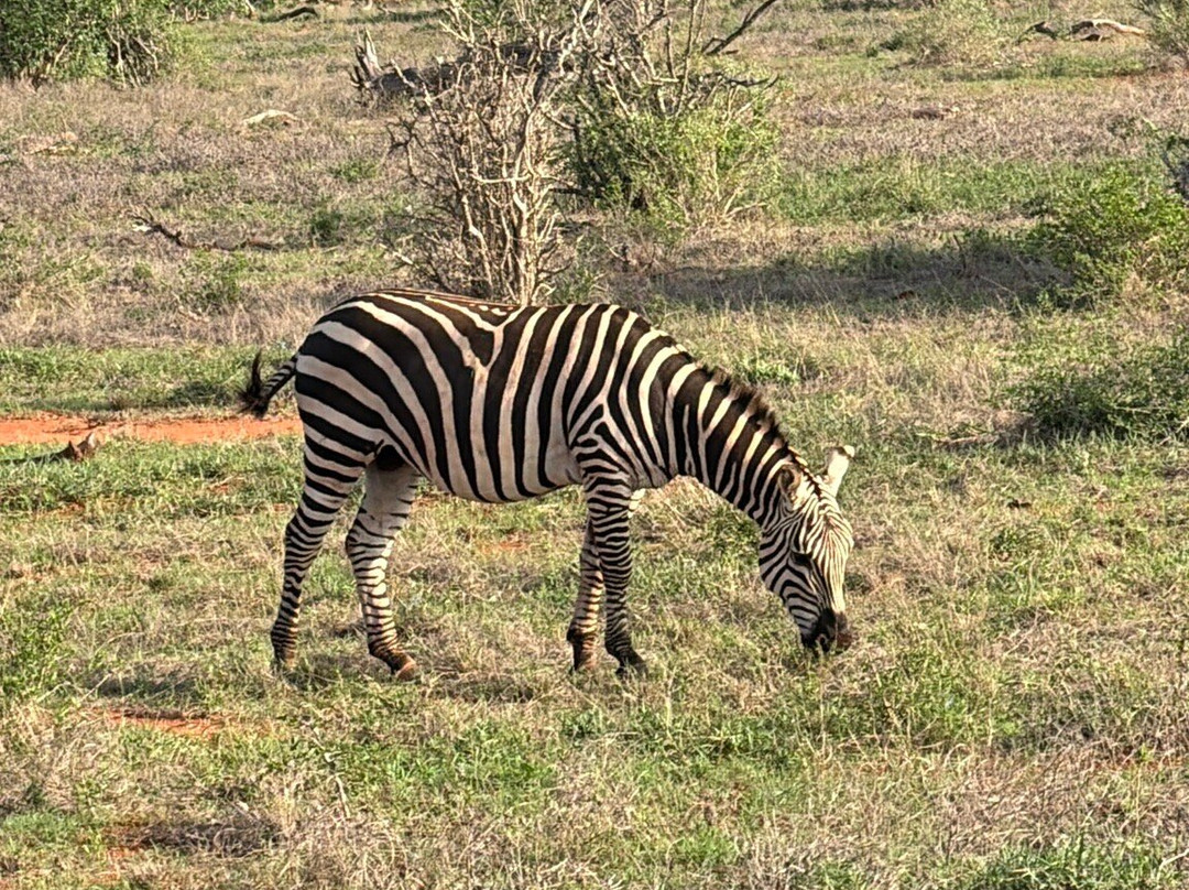 Discovery Kenya con Fragola-瓦塔木必去景点