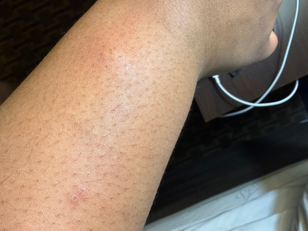 Quality Inn Burkeville Hwy 360 & 460主图