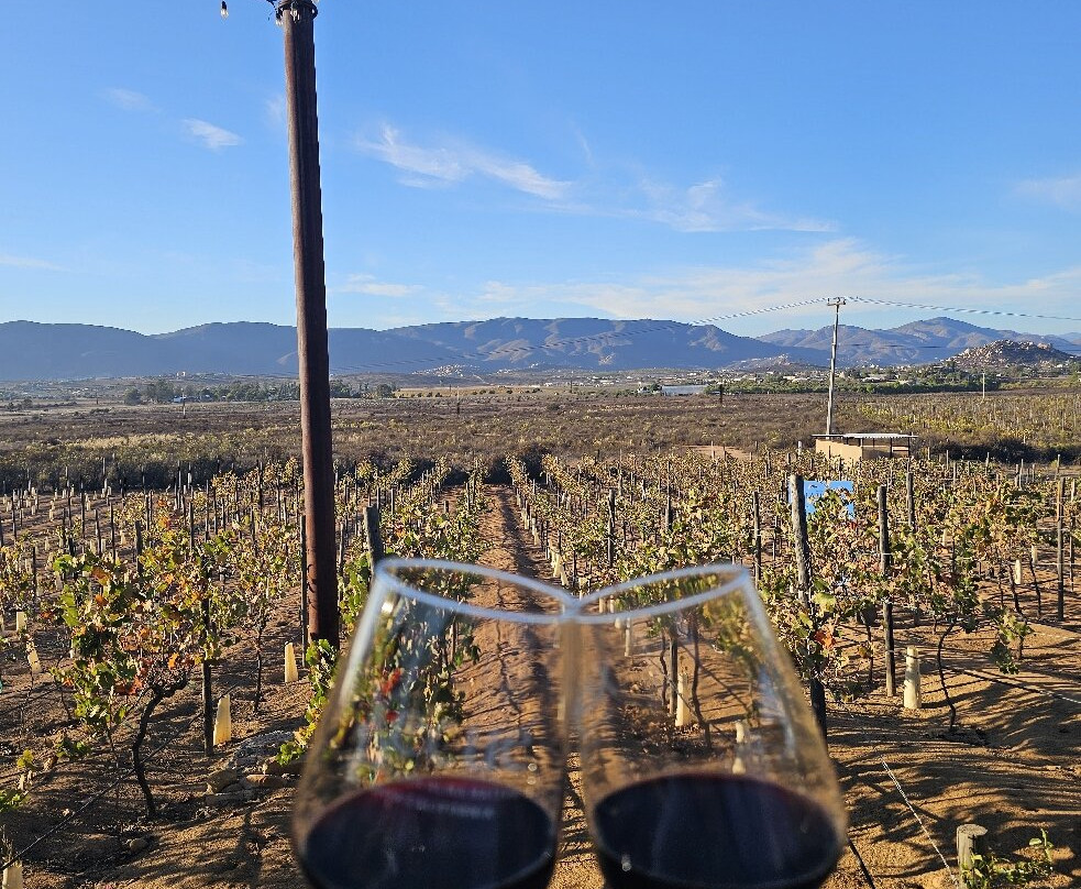 Xecue Vinicola-Valle de Guadalupe必去景点