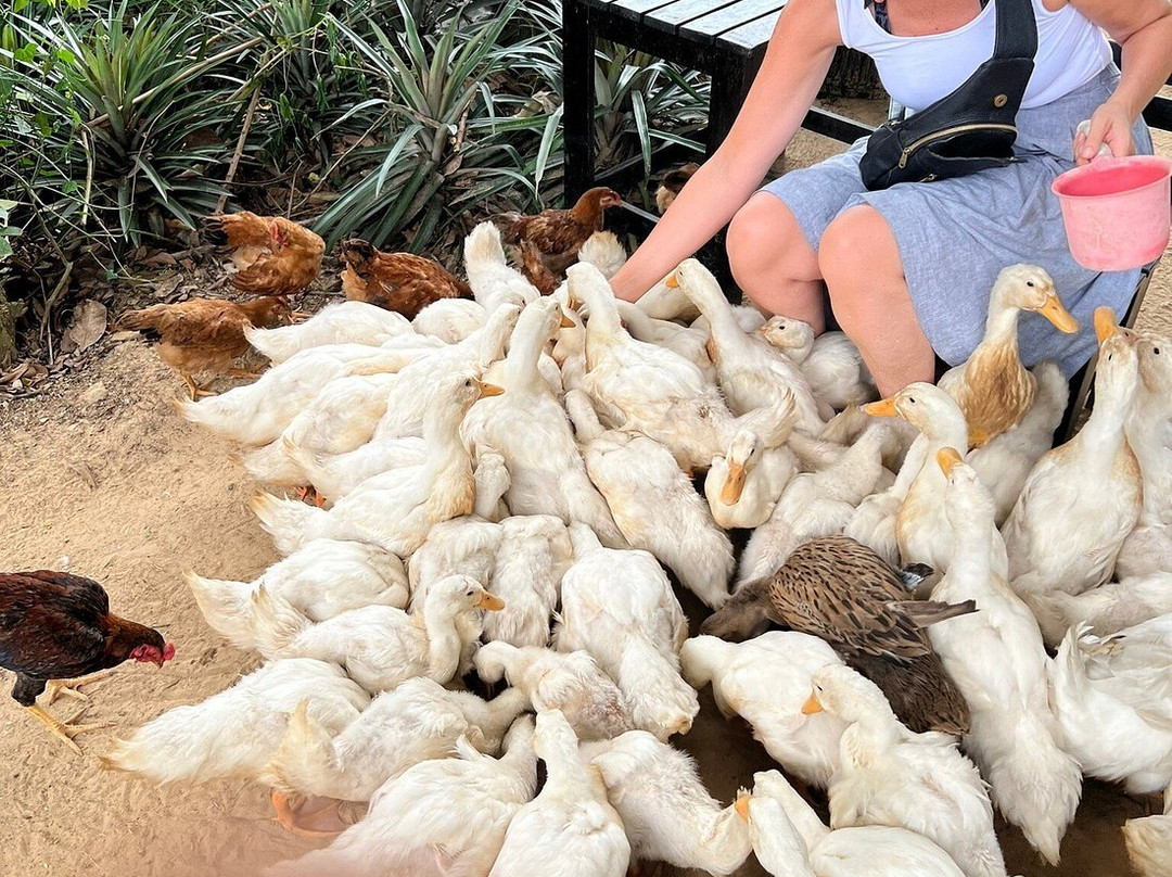 Dong Du Village Lakeside Farm Stay-Nghia Thuan必去景点