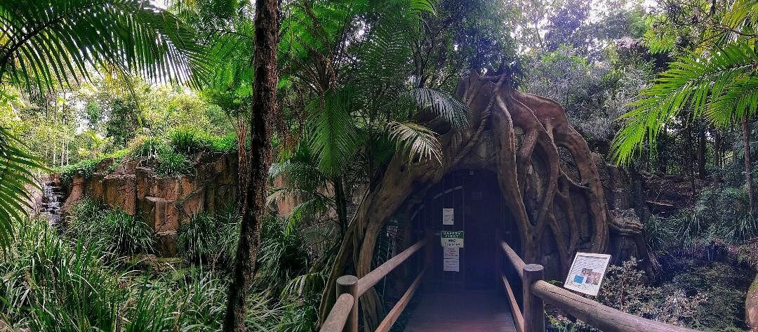 Tamborine Mountain Glow Worm Caves-丹百林山必去景点