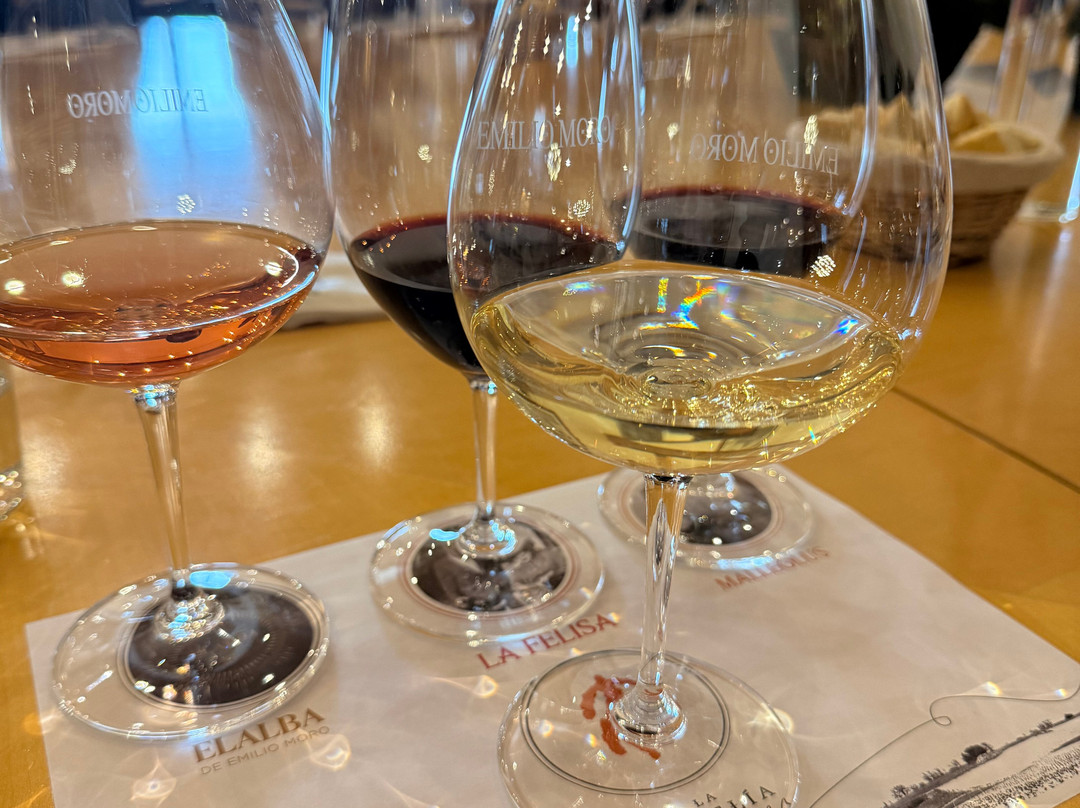 Bodegas Emilio Moro-Pesquera de Duero必去景点