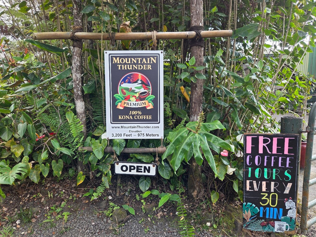 雷鸣山咖啡种植园-凯鲁瓦-柯纳必去景点