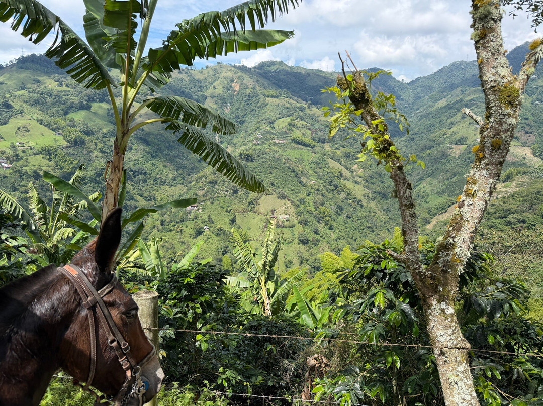 LA JUANA COLOMBIA-Neira必去景点