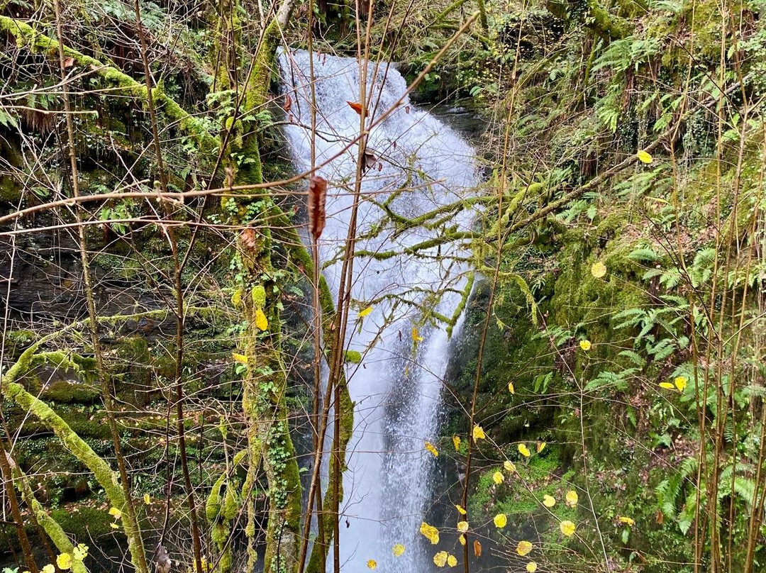 Pía Paxaro-Folgoso do Courel必去景点