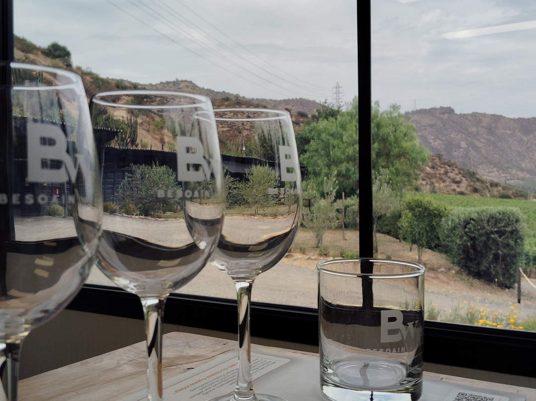 Besoain Wines-Pirque必去景点