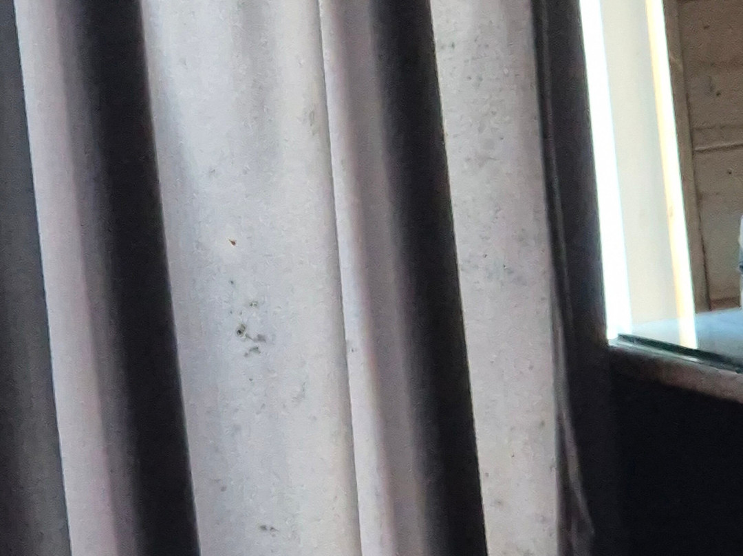 The Charvi Retreat Kufri Shimla