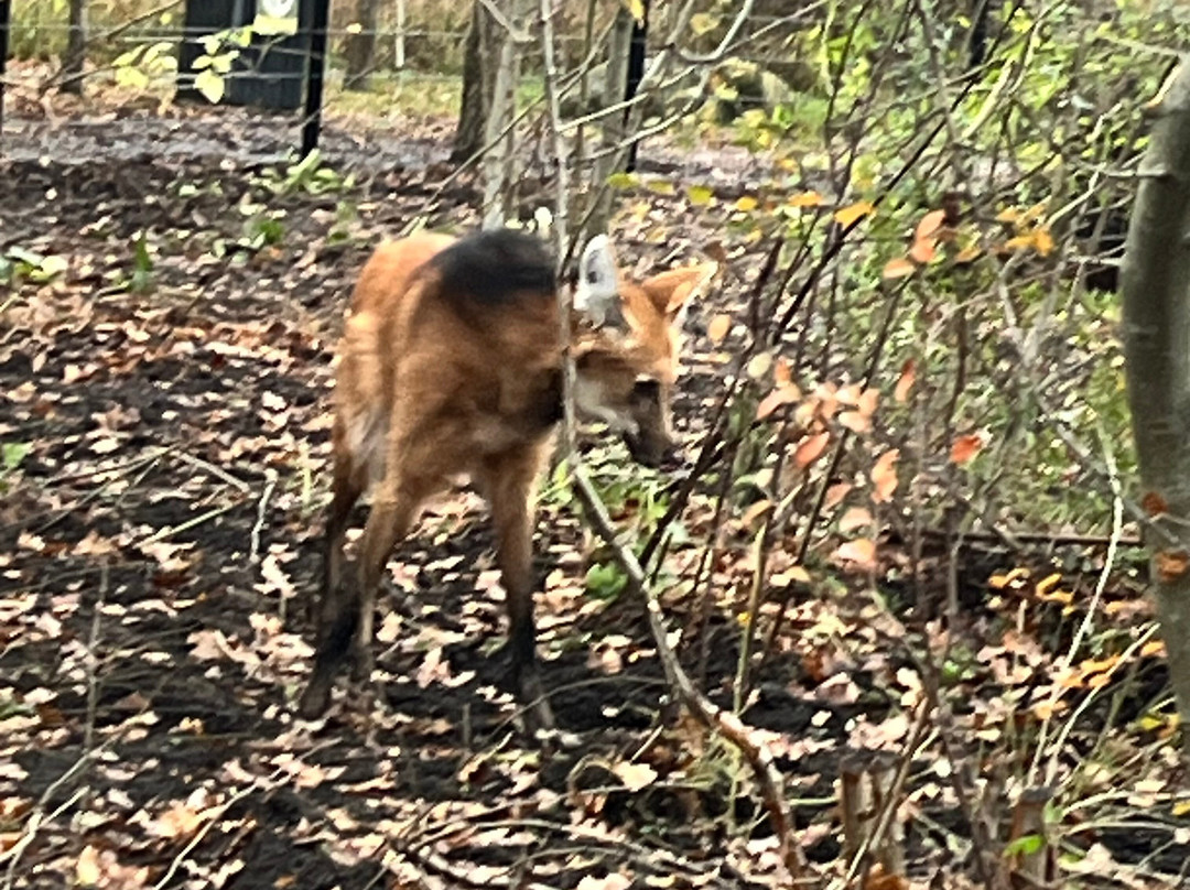 Pangea Park Falster-Nykobing Falster必去景点