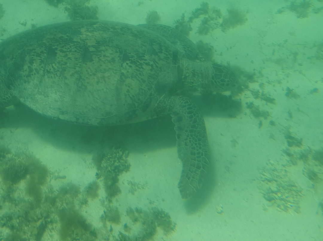 View Ningaloo-埃克斯茅斯必去景点