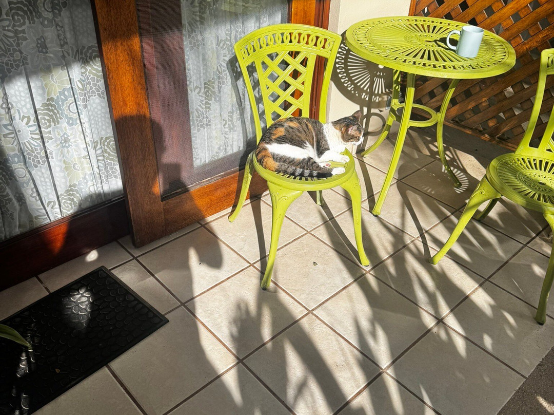 Ten North Tamarindo Beach Hotel主图