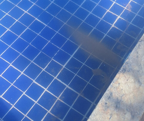 Sueds Segundo Sol主图