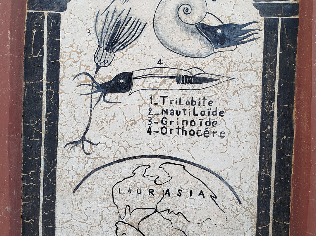 Fossiles d'Erfoud-Erfoud必去景点