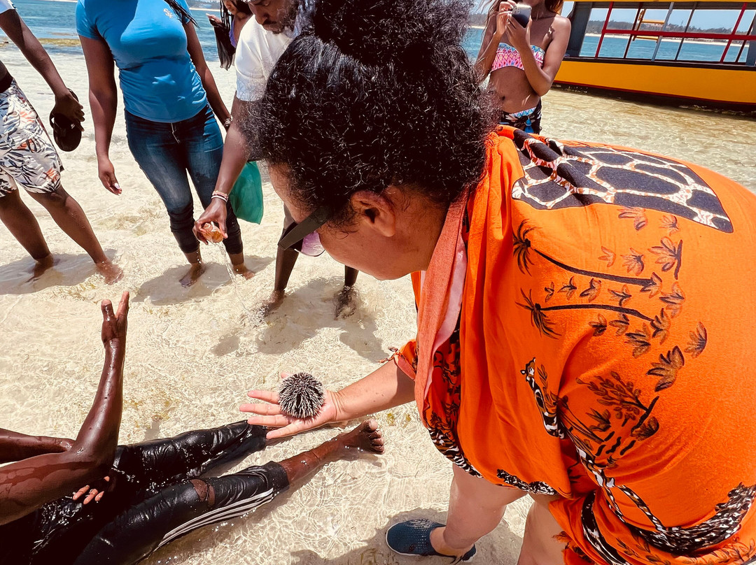 Mombasa Marine National Park-蒙巴萨必去景点