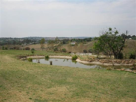 琥珀色玫瑰国家庄园主图