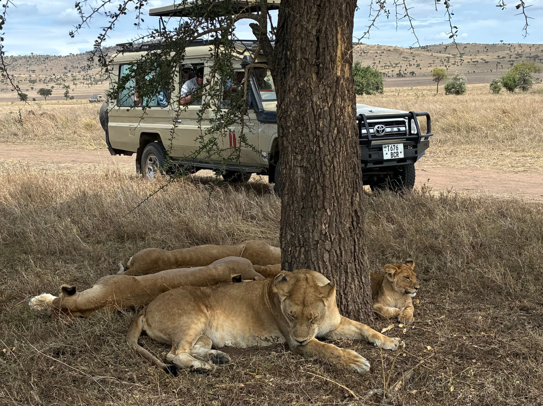 Warrior Trails-阿鲁沙必去景点