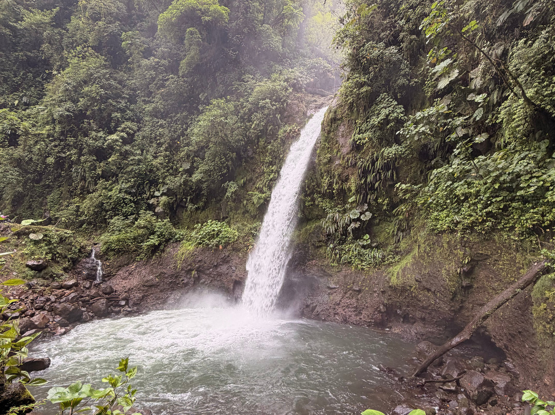 Arenal Cautiva-El Castillo必去景点