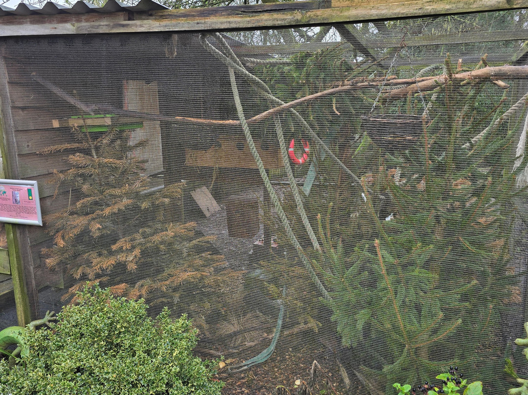 Axe Valley Wildlife Park-Axminster必去景点