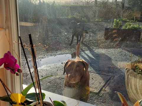 The Place To Stay主图