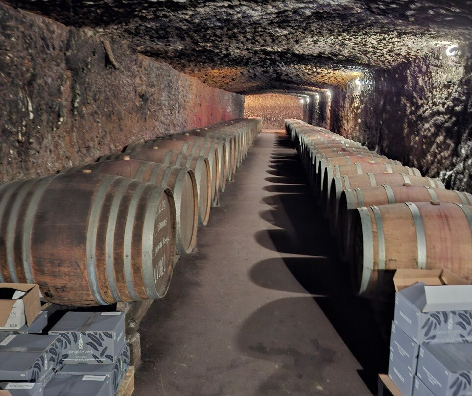 Angelliaume-Cravant-les-Coteaux必去景点