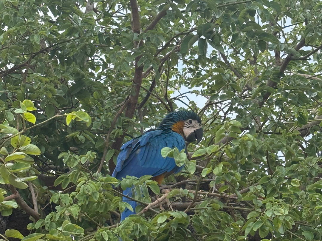 JALAPÃO OFICIAL-Palmas必去景点