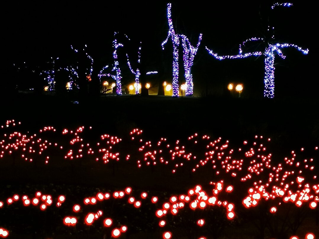 Arboretum Volčji Potok-Radomlje必去景点
